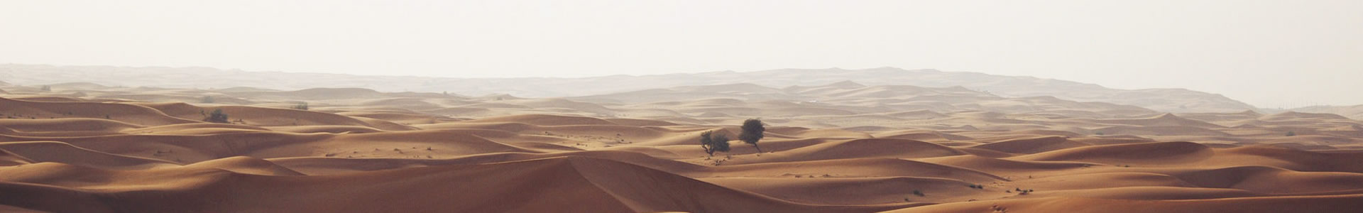 ҿƼ޹˾